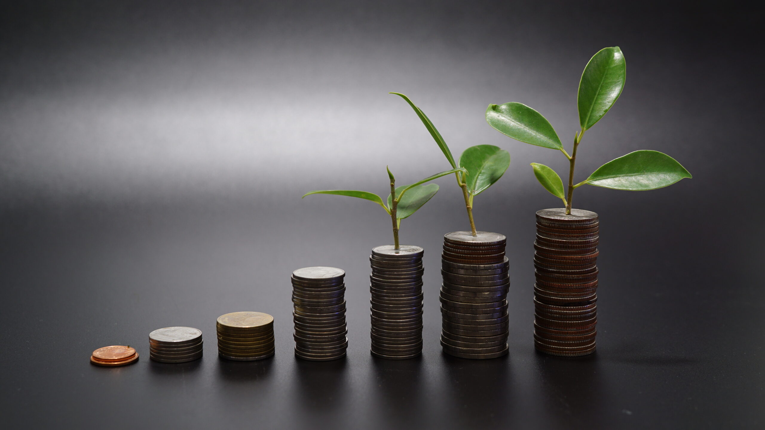 Pay-As-You-Grow Web Design Services